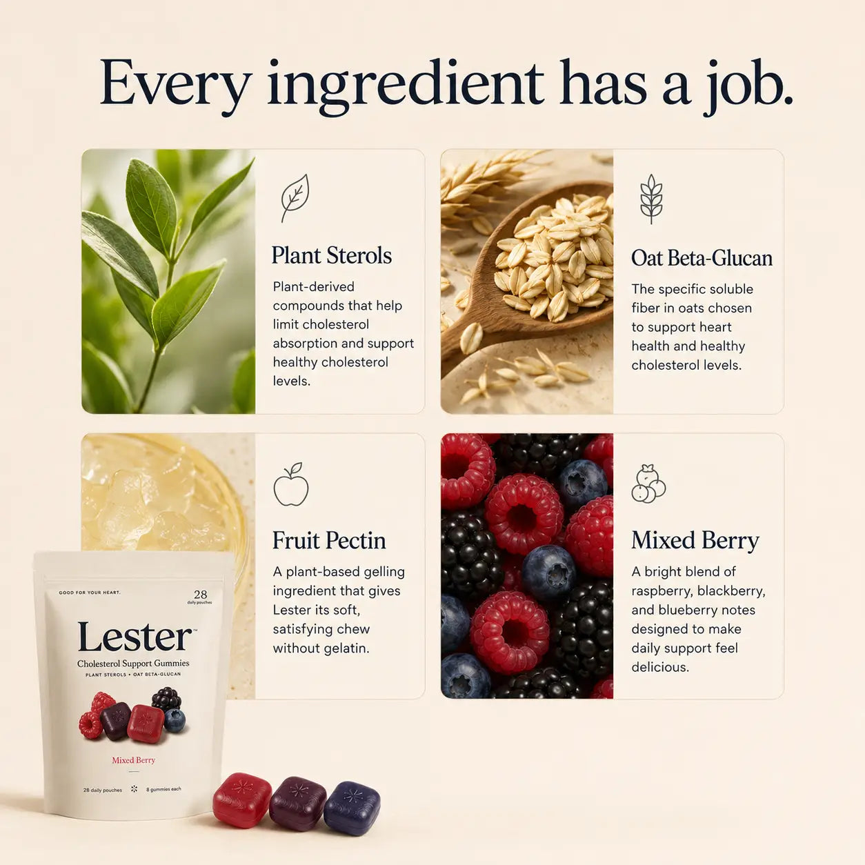 Lester Cholesterol Support Gummies